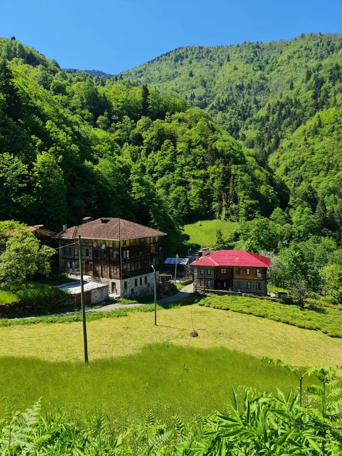 Çamlıhemşin Otel Kiralama